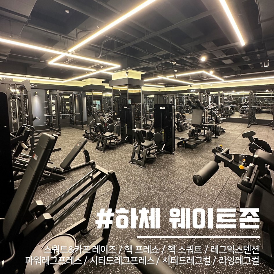 다운로드 11 3