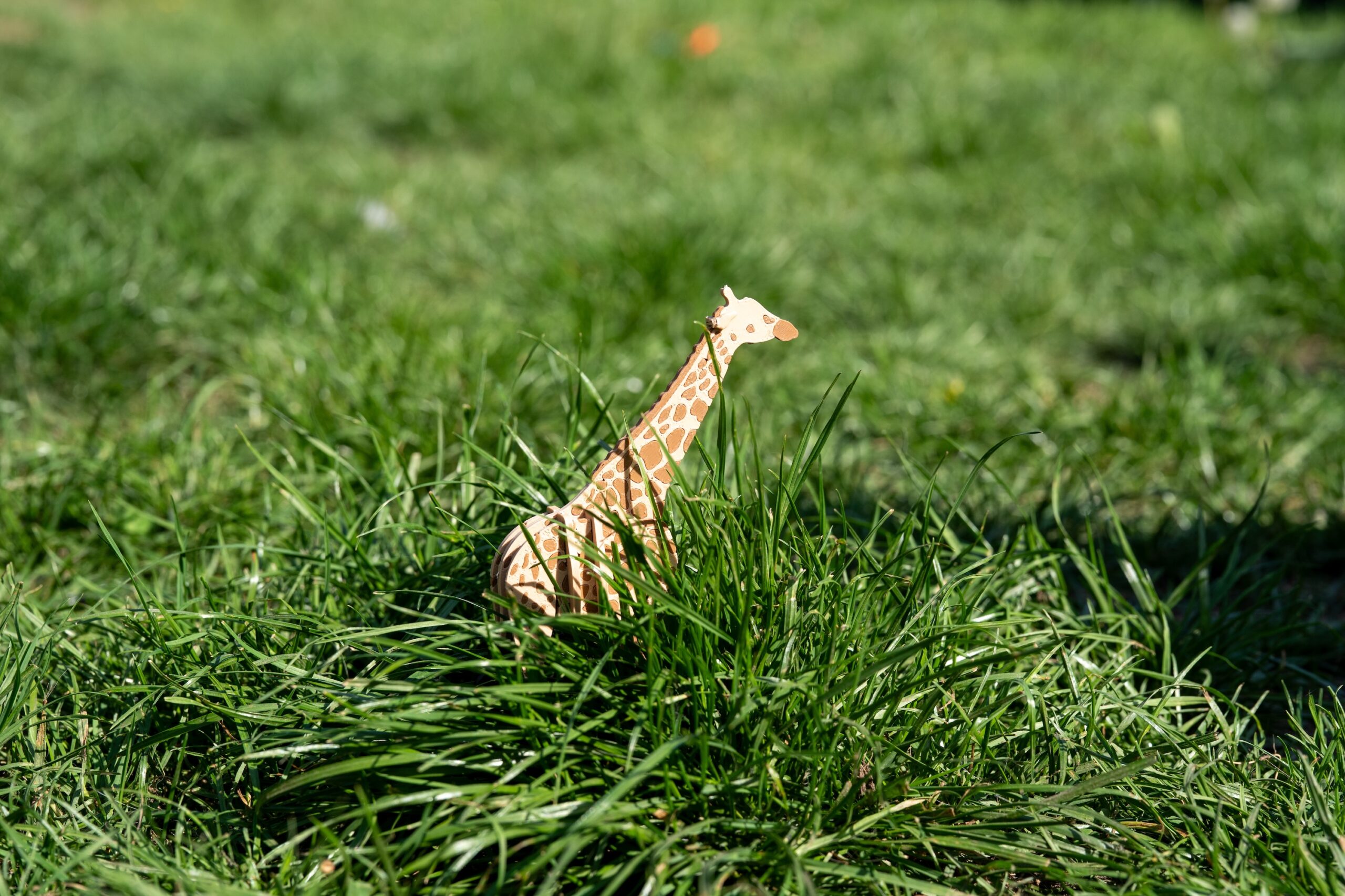 Spoolio KitCard Girafe 3