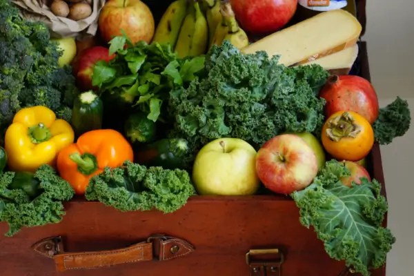 Nutrição e Longevidade Esportiva: Como a alimentação prolonga a carreira do atleta profissional 