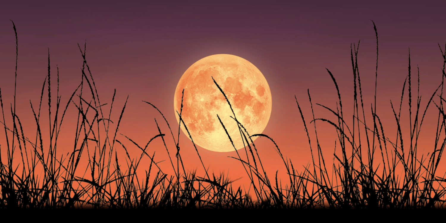 Superluna 2025: cómo y cuándo ver la Luna de la Cosecha más brillante de octubre