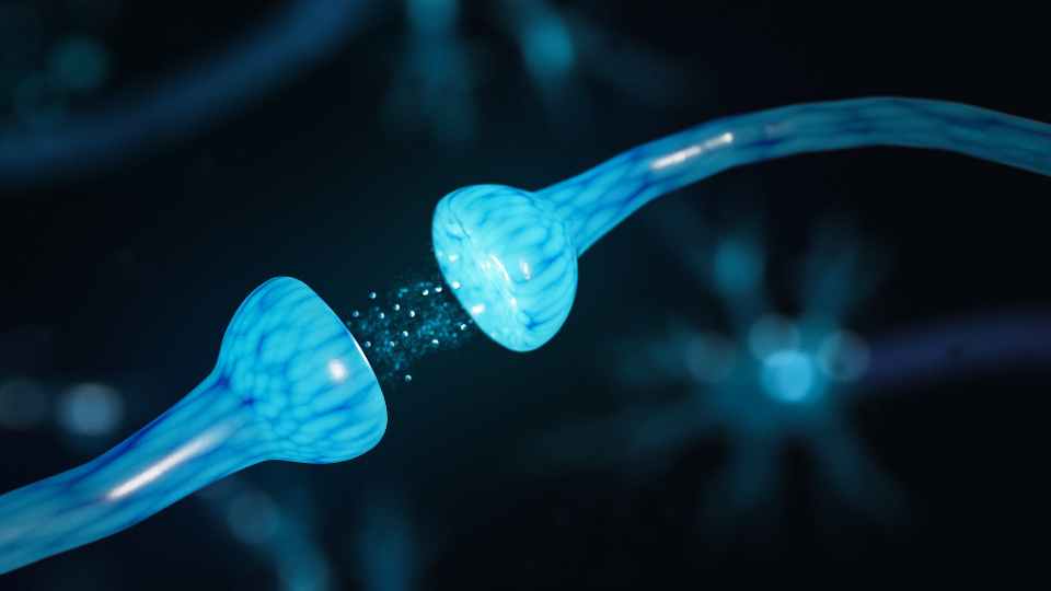 Feedforward Neural Networks Made Simple With Different Types Explained