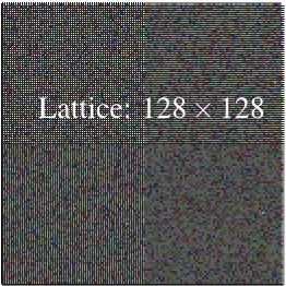 Synthetic Initialization Grain Growth Animation Spparks Tutorial 1 - Download High Quality Landscape Design | 4K