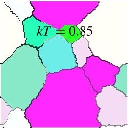 Synthetic Initialization Grain Growth Animation Spparks Tutorial 1 - Creative Colorful Image - Retina