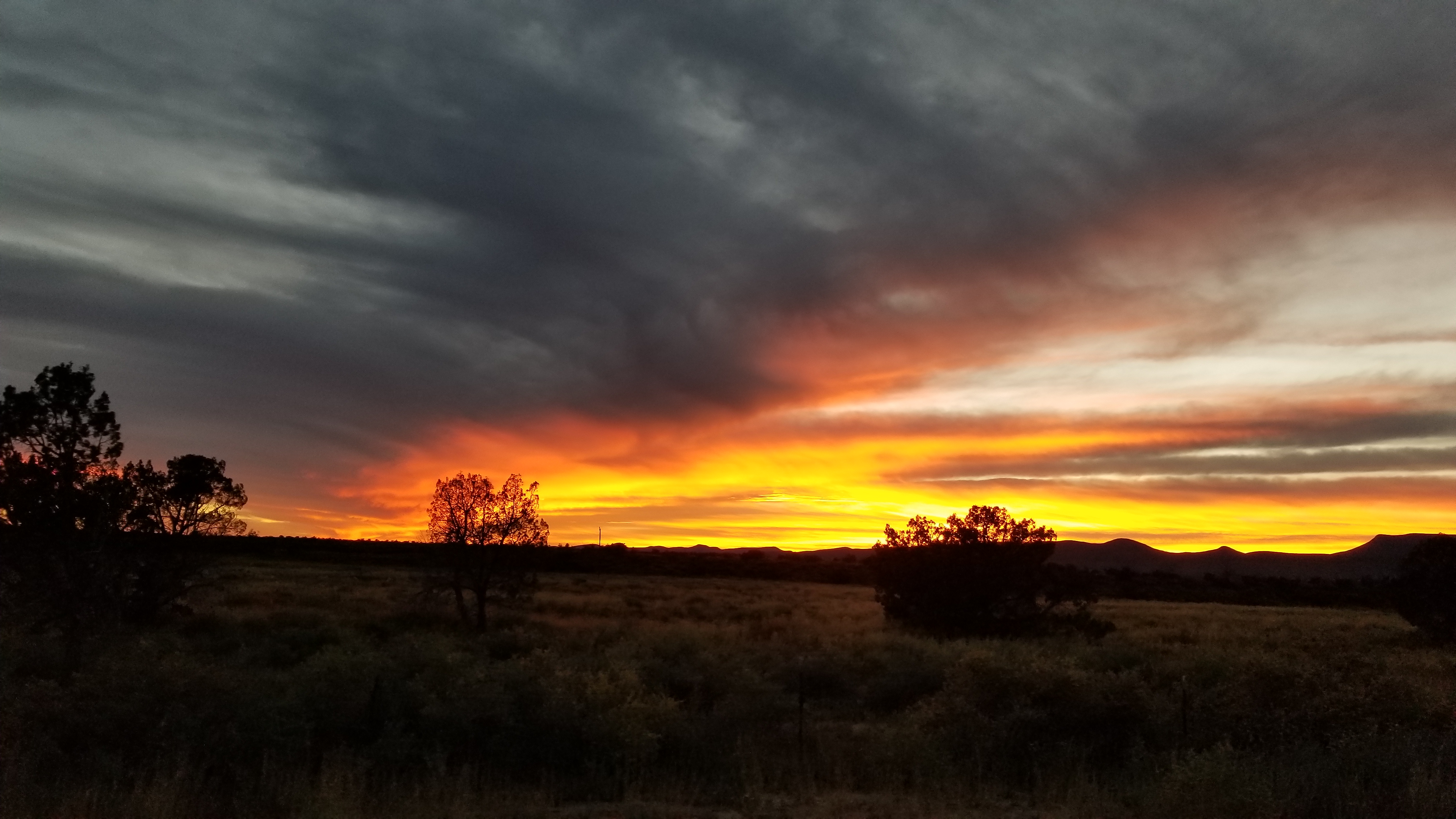 20181006_185819.jpg