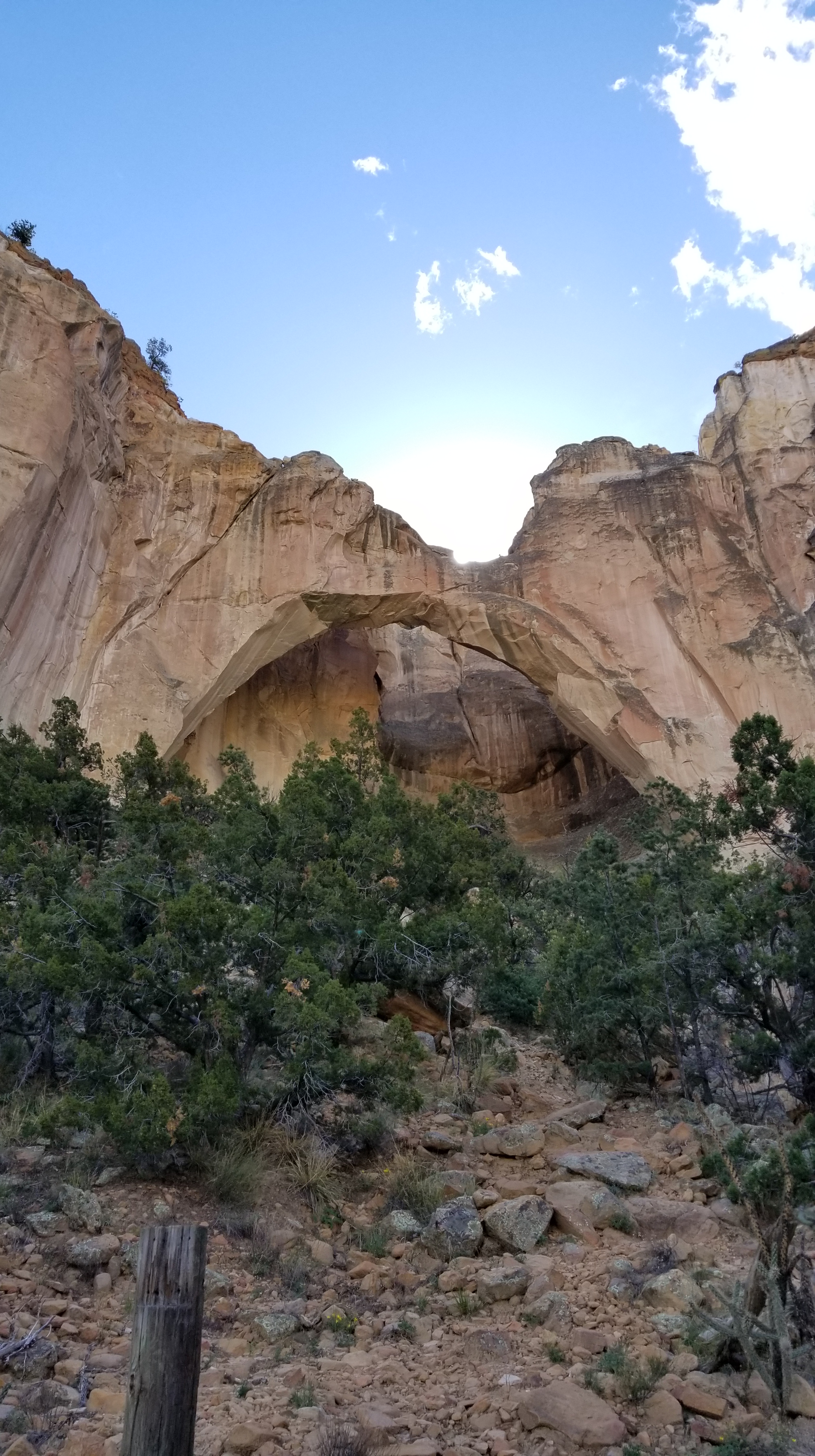 20181007_105428.jpg