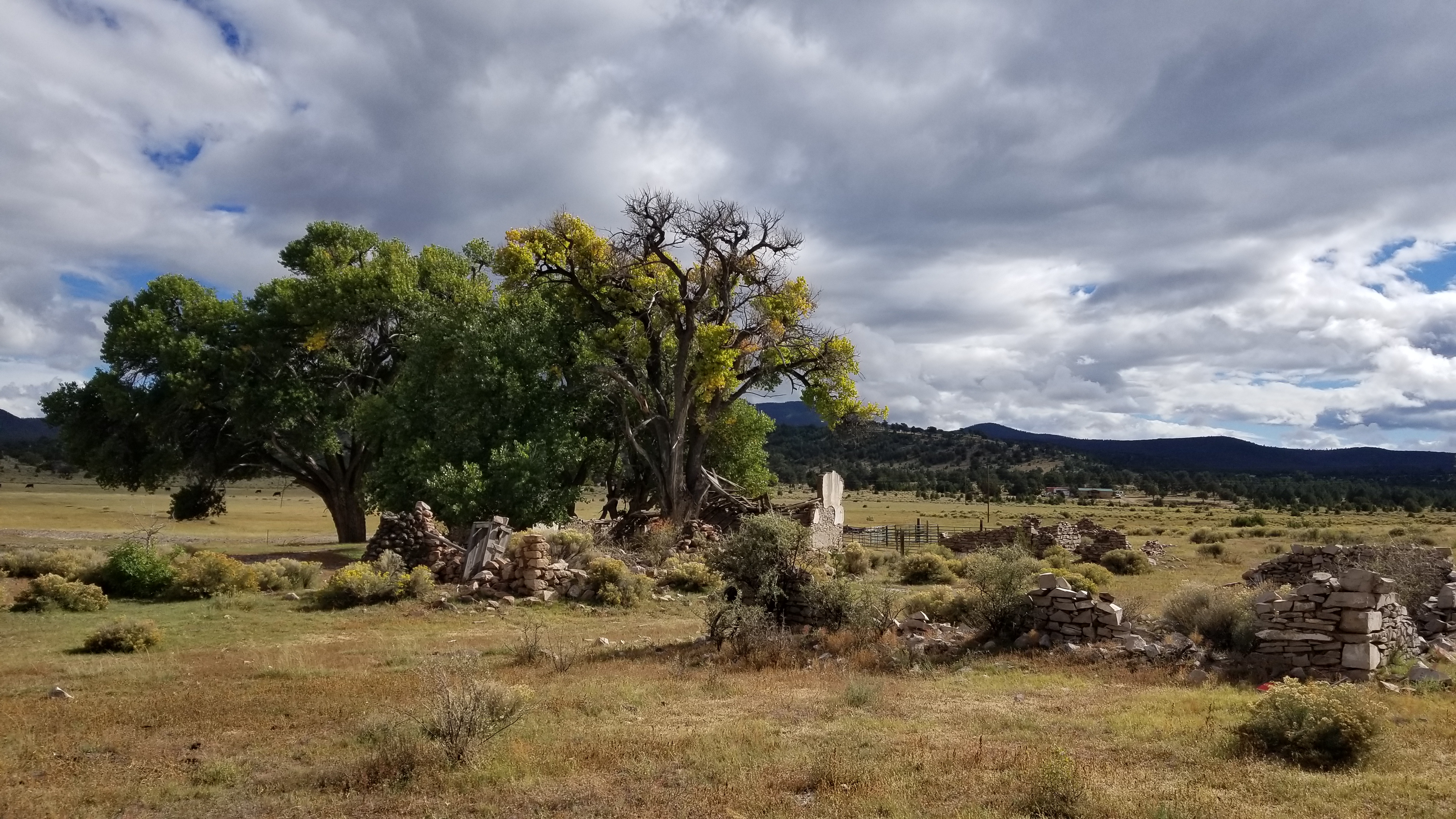 20181008_153529.jpg