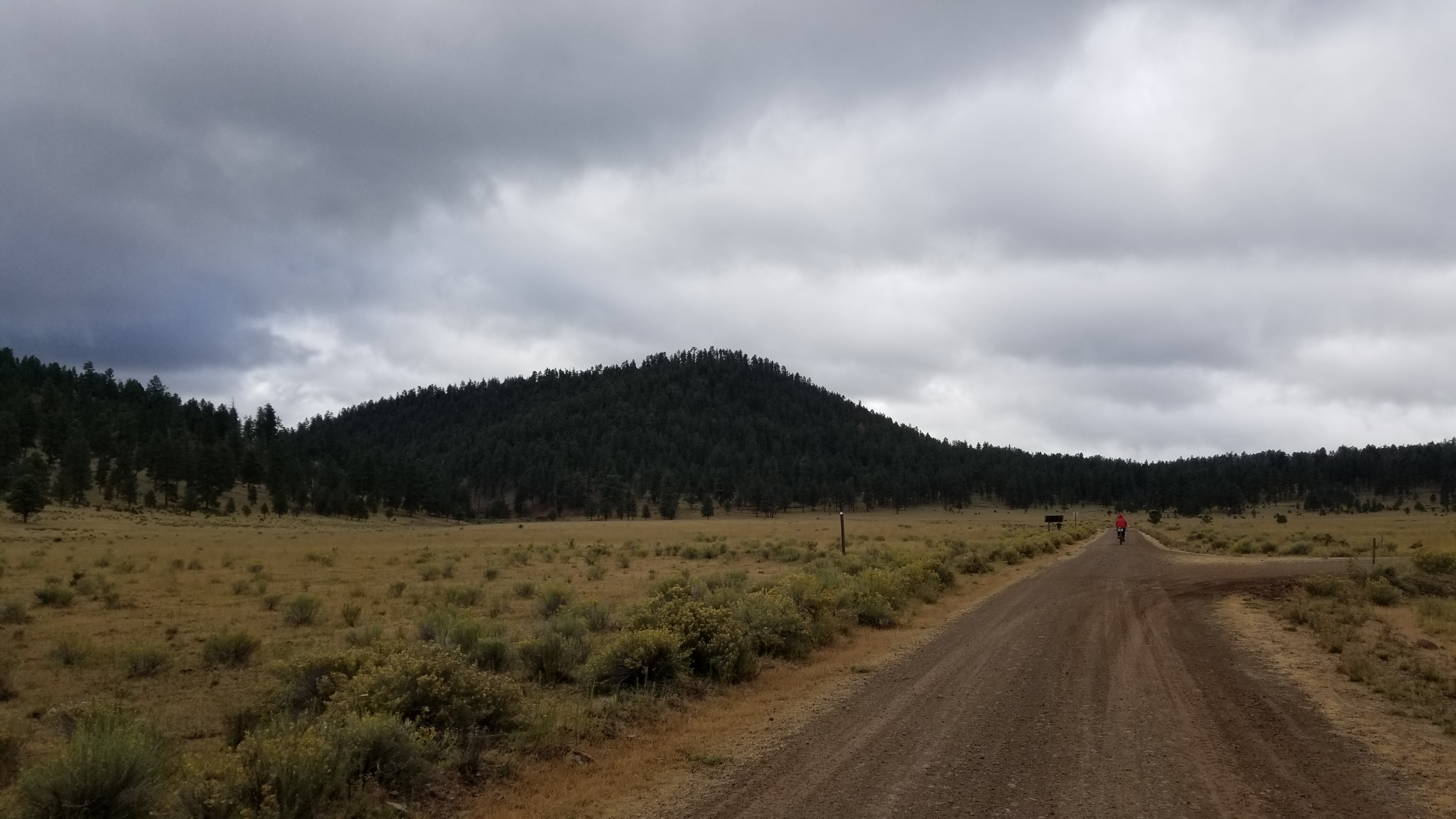 20181009_094457.jpg