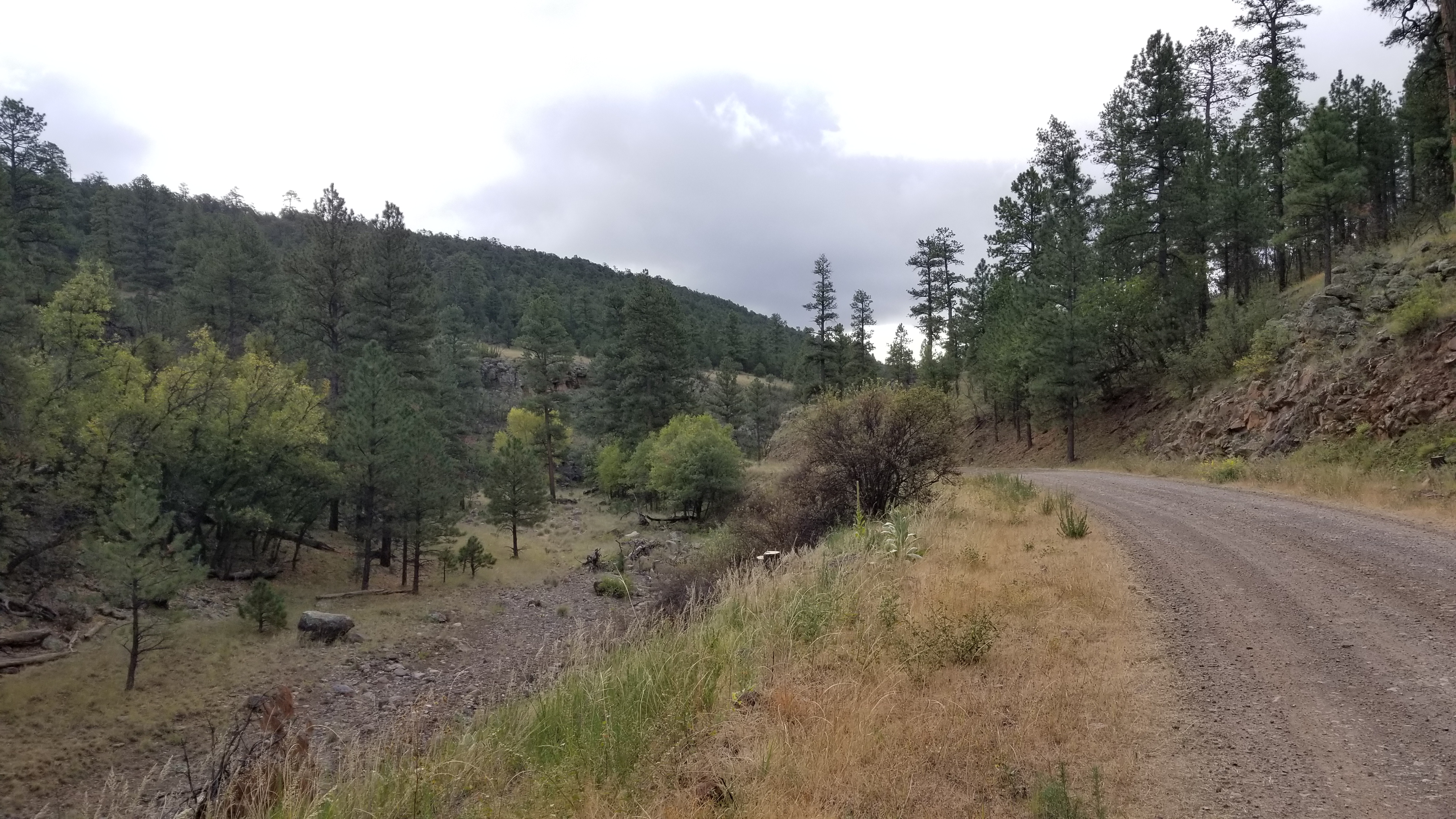20181009_095847.jpg