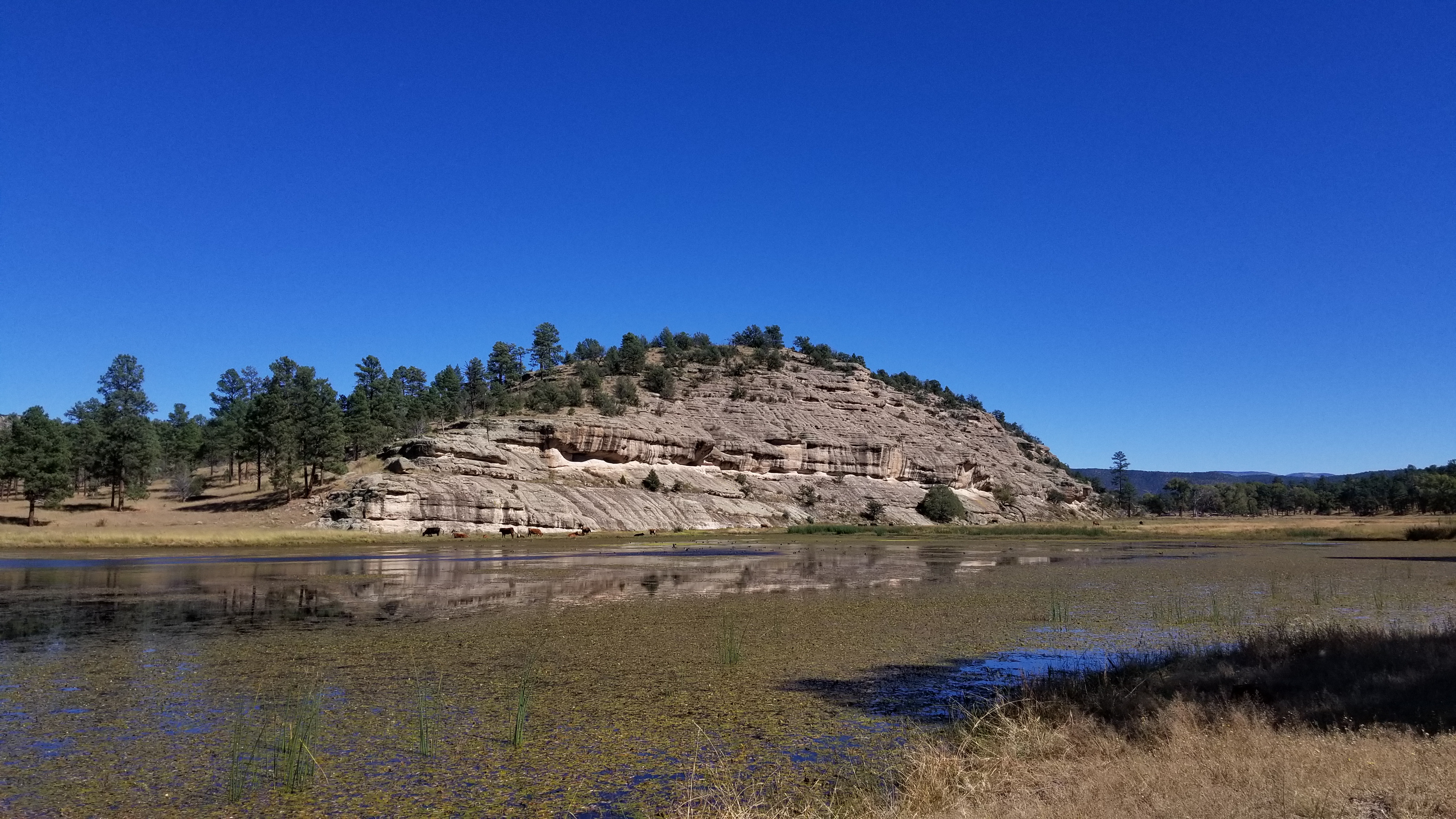 20181010_143347.jpg