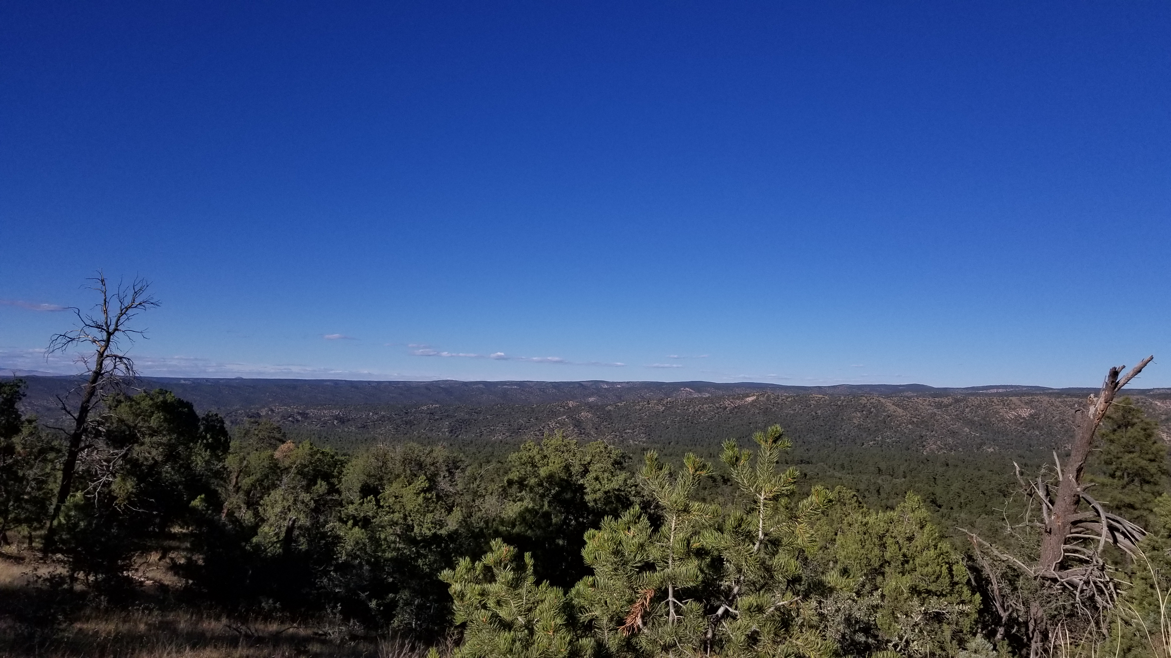 20181010_165239.jpg