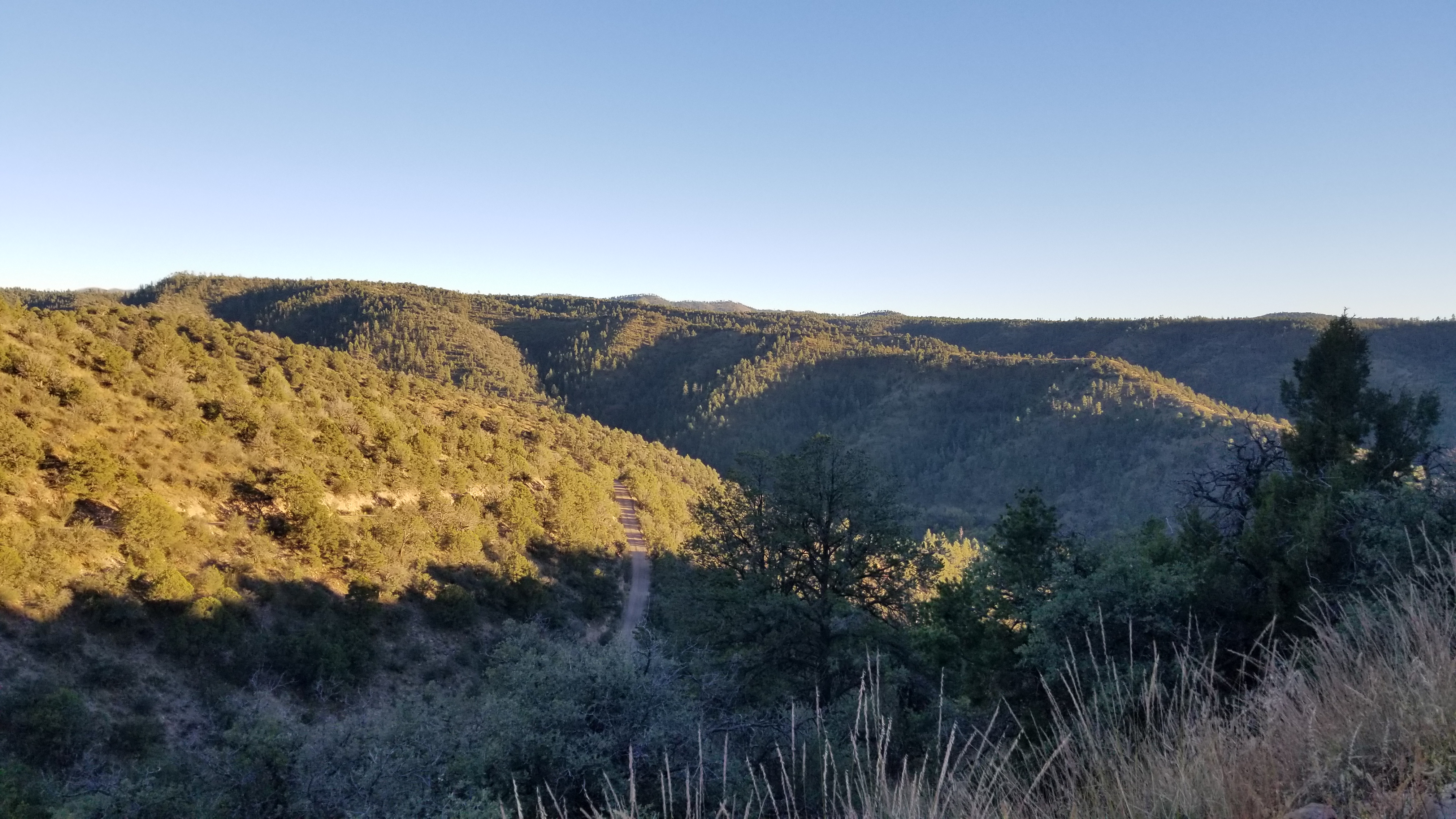 20181010_181150.jpg
