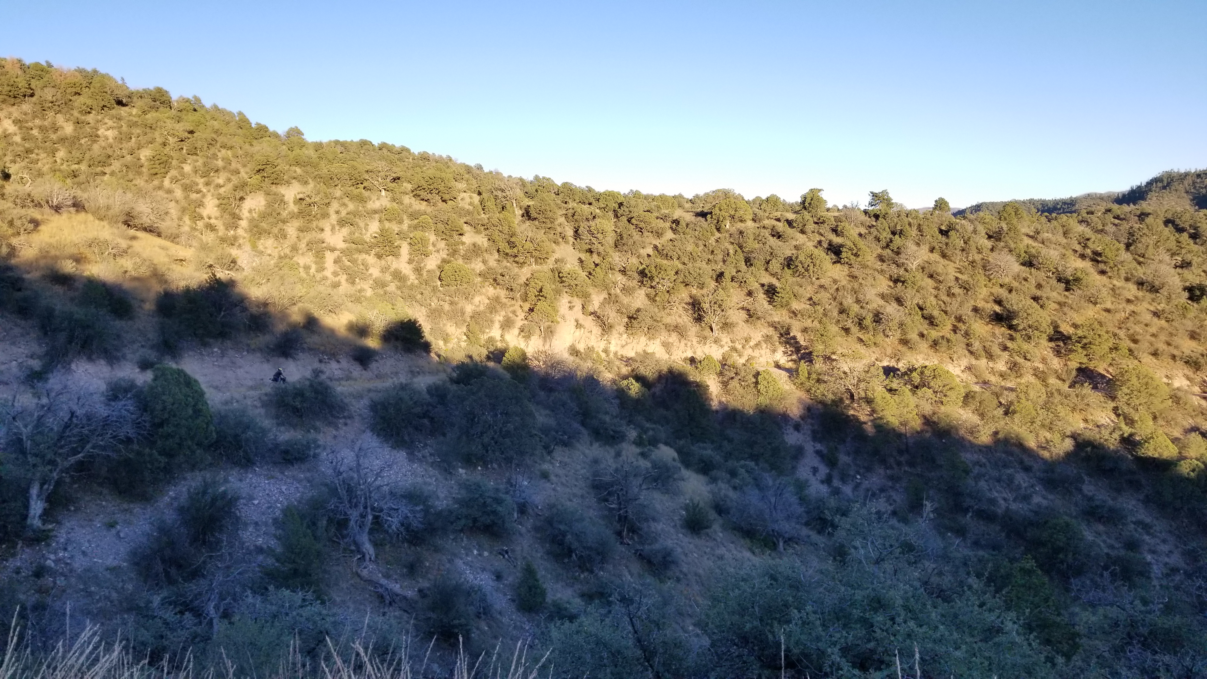 20181010_181201.jpg