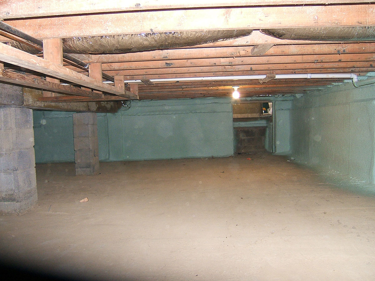 Roof rats are black and smaller than the norway rat (or brown rat). Crawl Space Insulation - Spray Foam Technologies