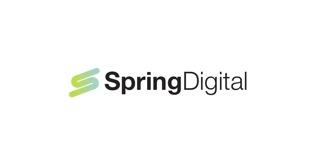 Spring Digital, Inc. - Digital Marketing Solutions website preview
