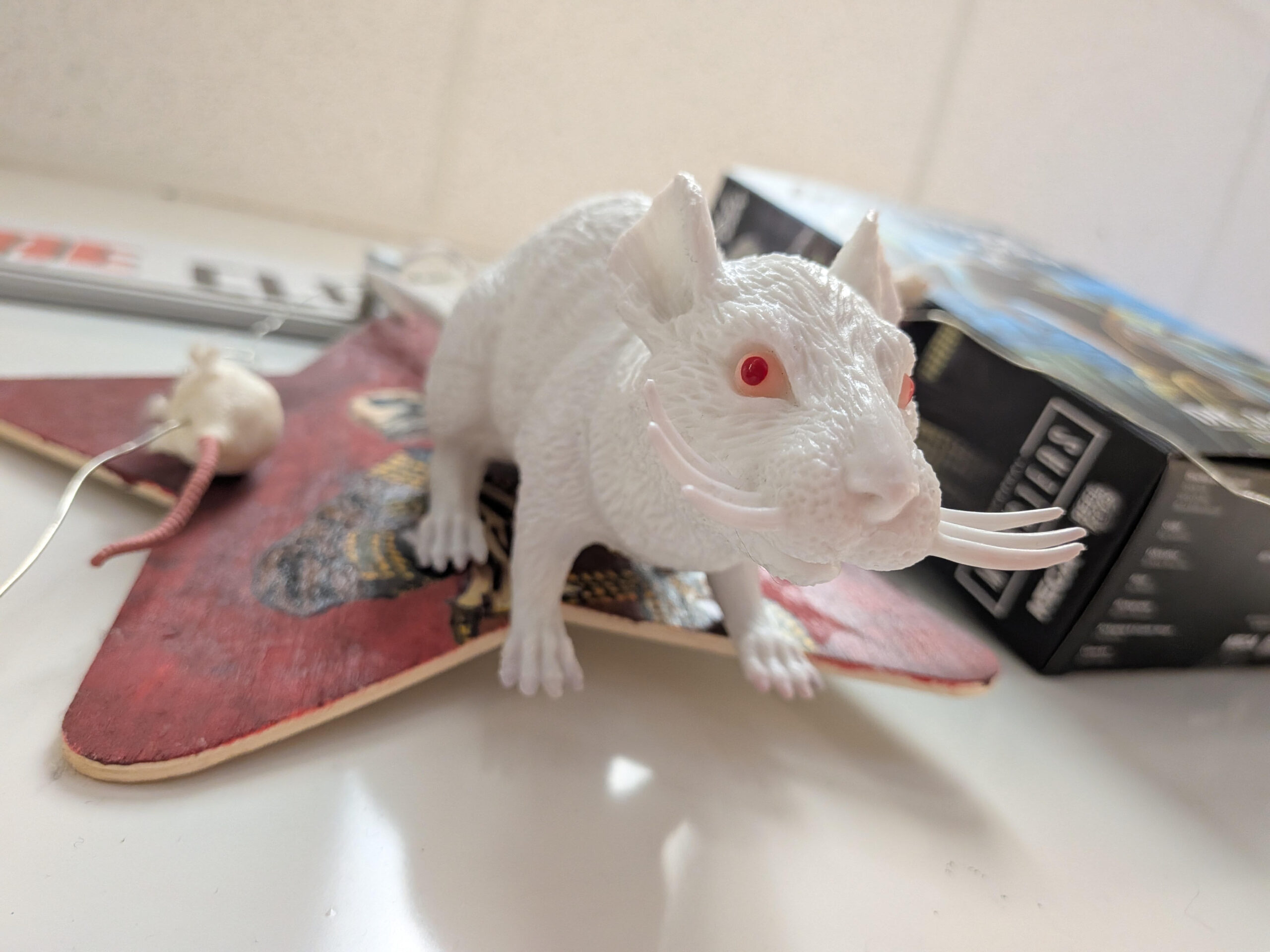 White Rat