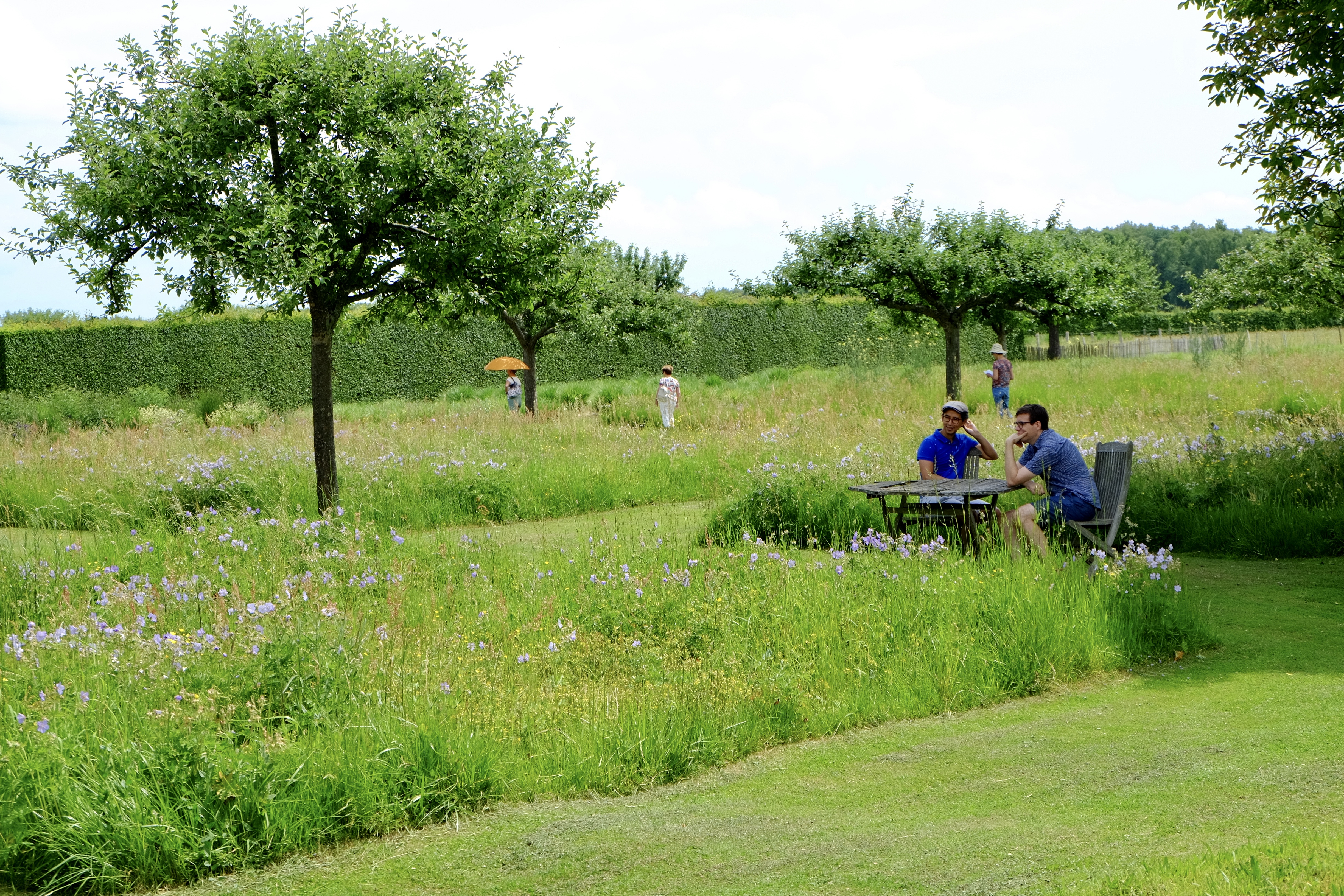 Le Jardin Plume By Joelle Le Scanff Mayer