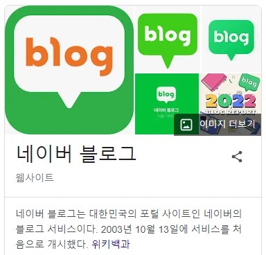 일상 블로그 수익 플랫폼 네이버