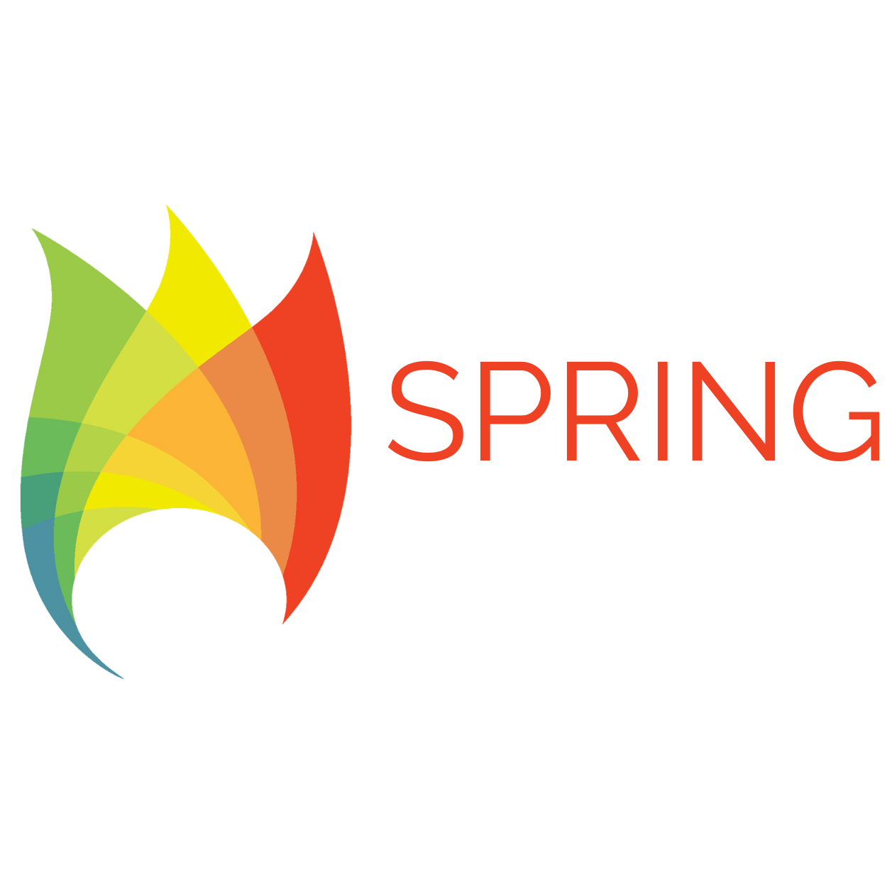 Spring Media Solutions Header Logo