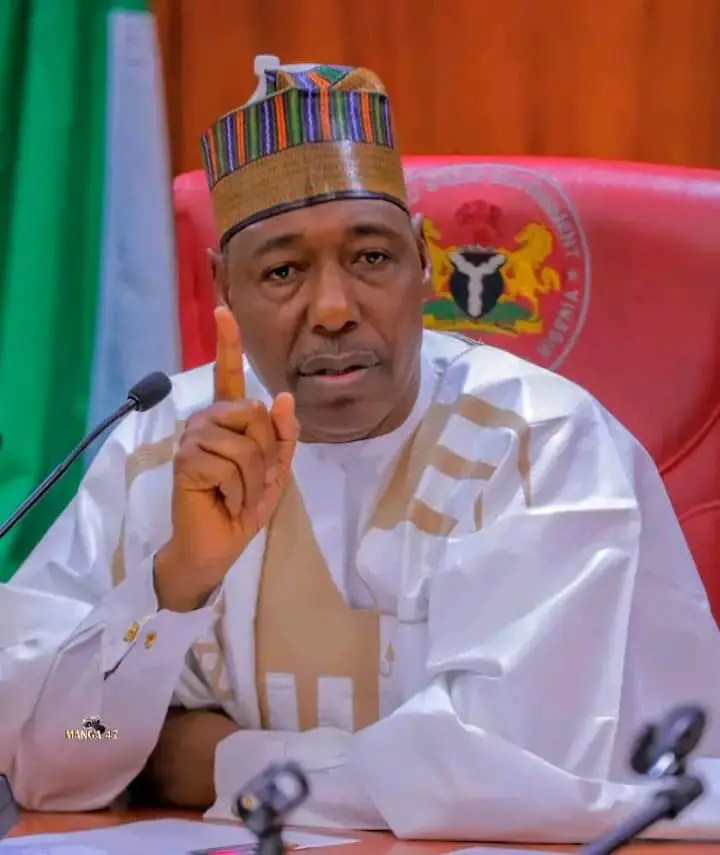 Zulum, North-East Governors Meet Tinubu, Push for Road Projects and Oil Exploration