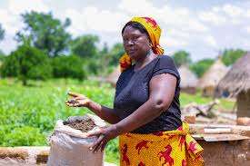 Why Nigeria Struggles to Feed Its Citizens Despite Strong Agricultural Output
