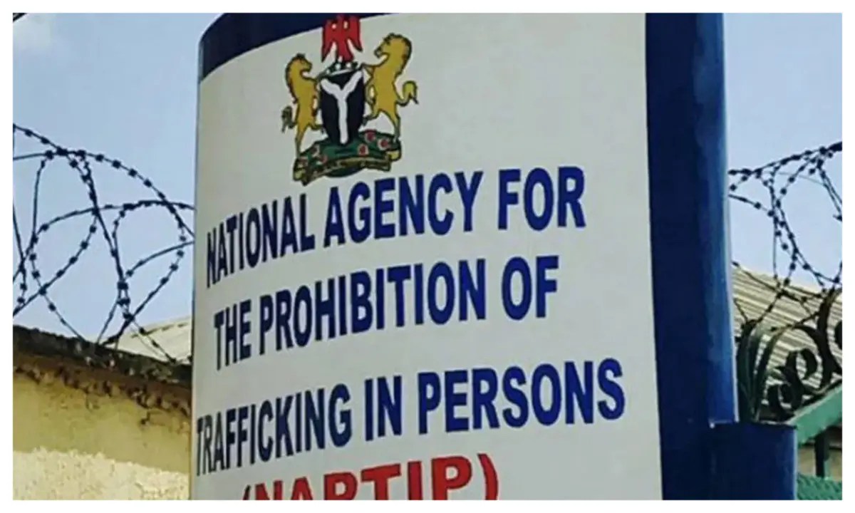 NAPTIP Rescues 24 Victims, Arrests Traffickers in Major Abuja Airport Human Trafficking Bust