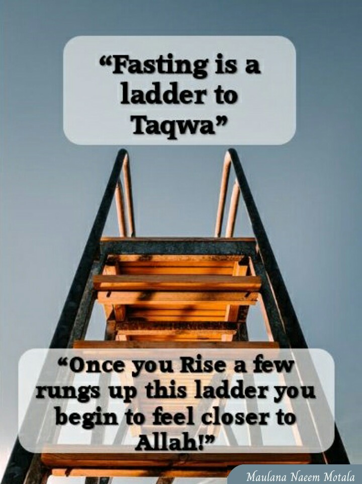 Fasting Ladder