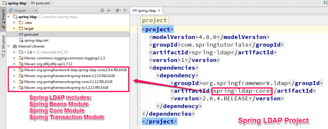 Spring LDAP modules