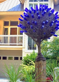 Bottle Tree Queensland Bottle Trees Designer Trees Australia