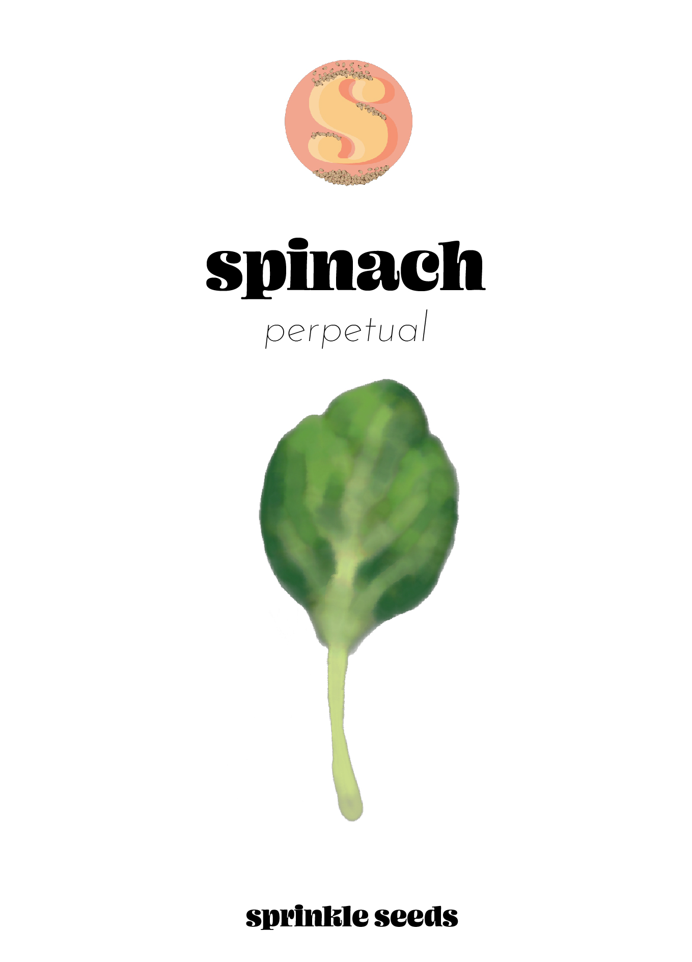 Image of a hand drawn illustration of Perpetual Spinach and the Sprinkle Seeds logo.