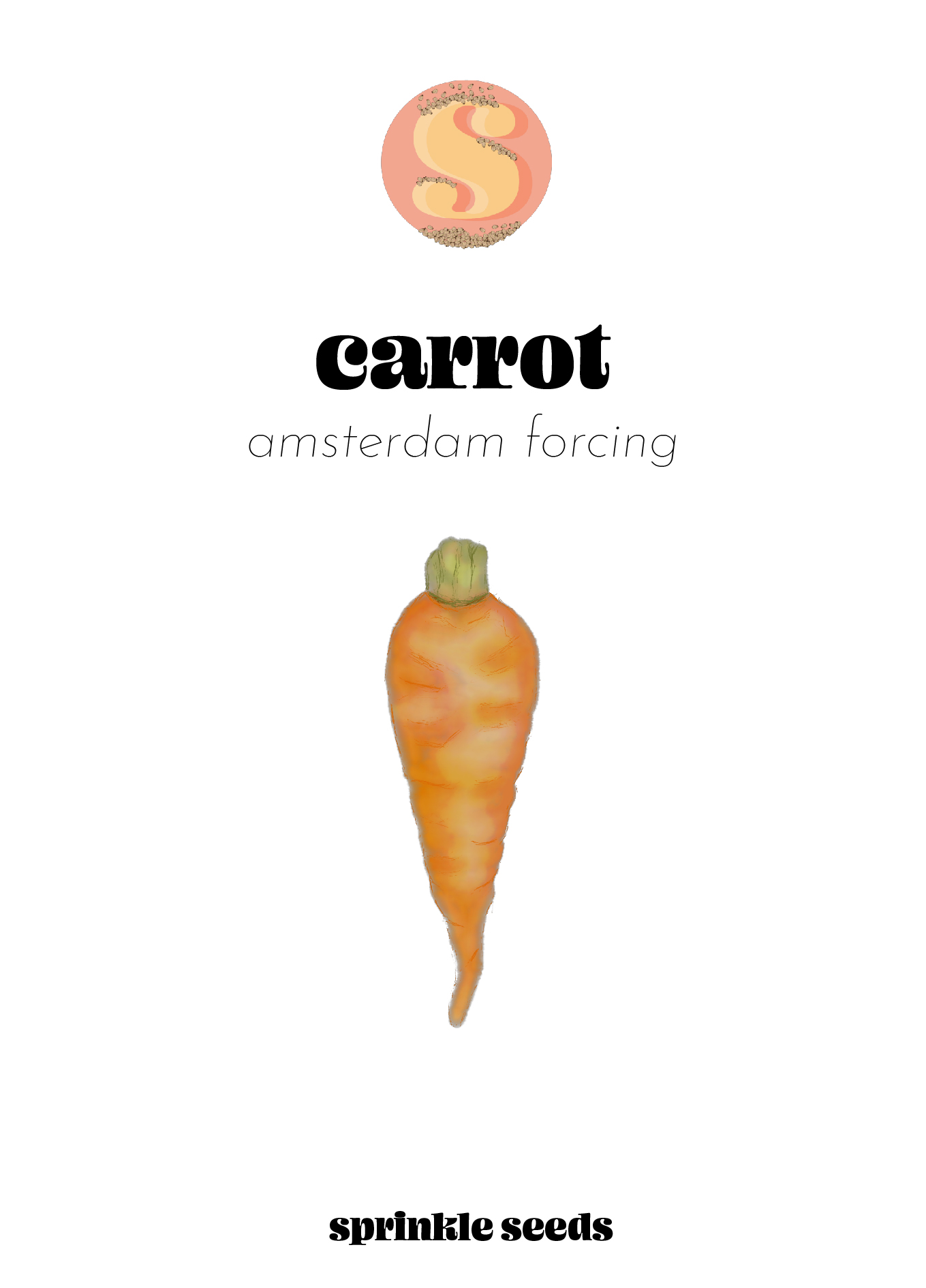 Image of a hand drawn illustration of Amsterdam Forcing Carrots and the Sprinkle Seeds logo.