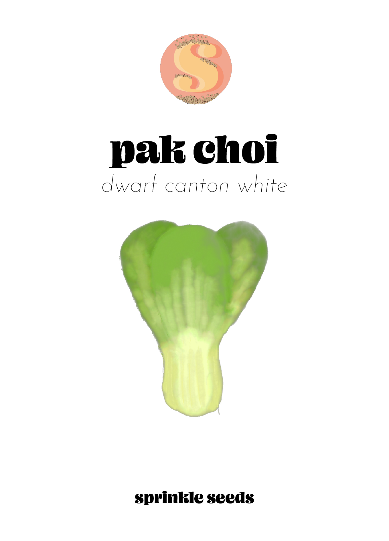 Image of a hand drawn illustration of Dwarf Canton White Pak Choi and the Sprinkle Seeds logo.