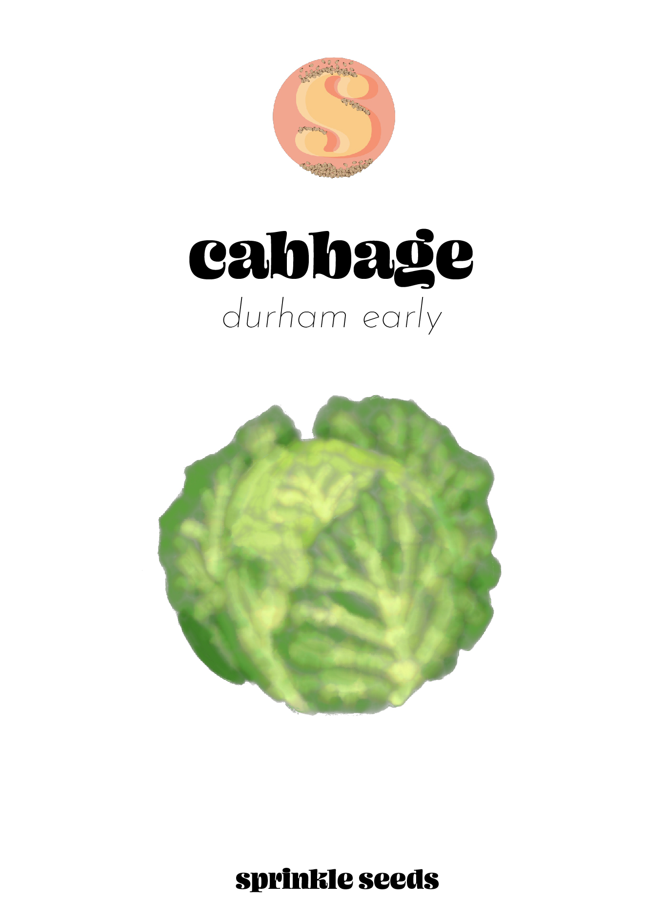 Image of a hand drawn illustration of Durham Early Cabbage and the Sprinkle Seeds logo.