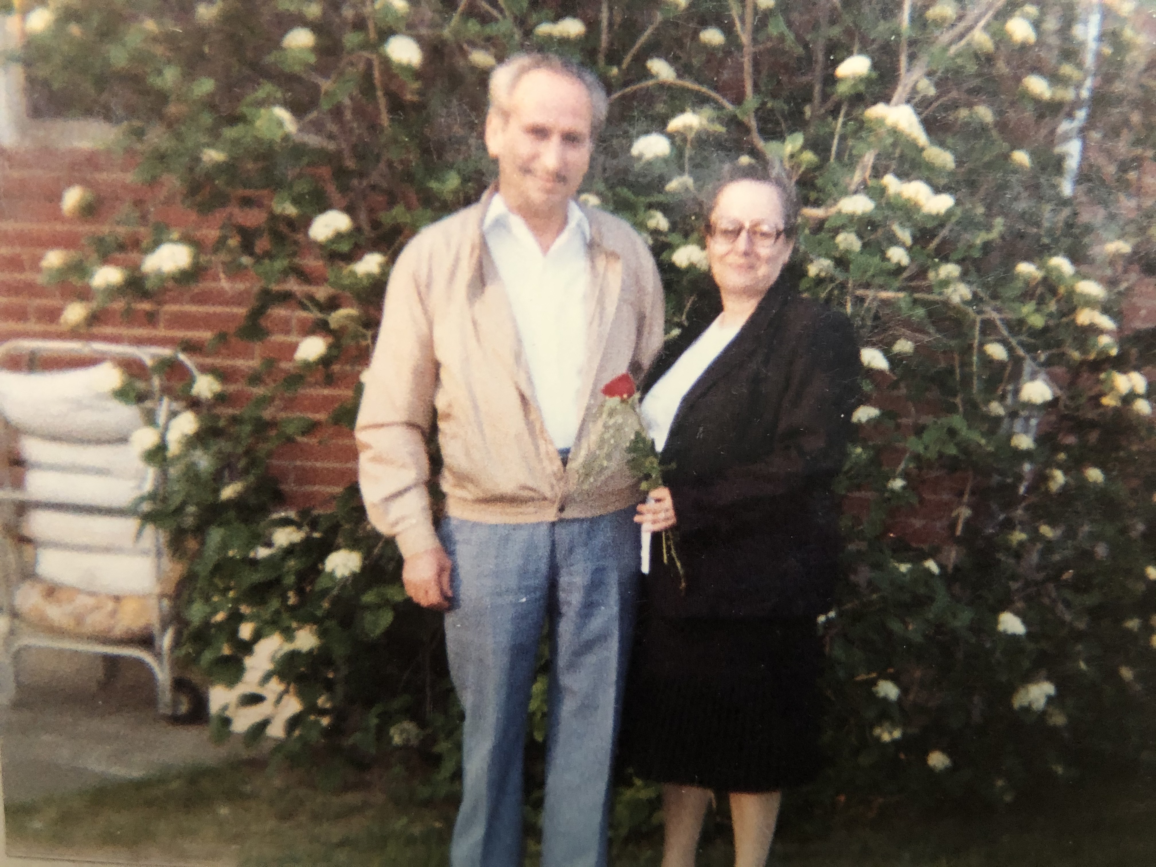 Mr romantic picked her a rose from the nephews garden