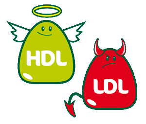pic Ldl And Hdl Gif hdl cholesterol and ldl cholesterol