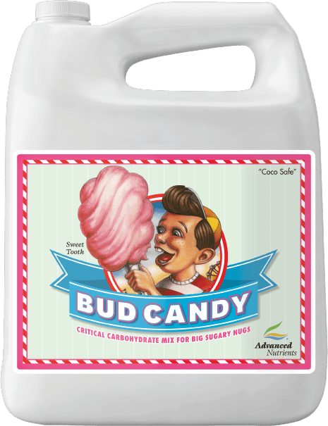 Bud Candy - Thumbnail 4