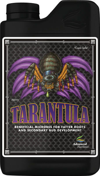 Tarantula - Thumbnail 5