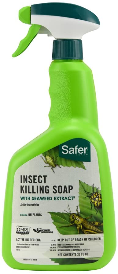 Safer Insect Killing Soap