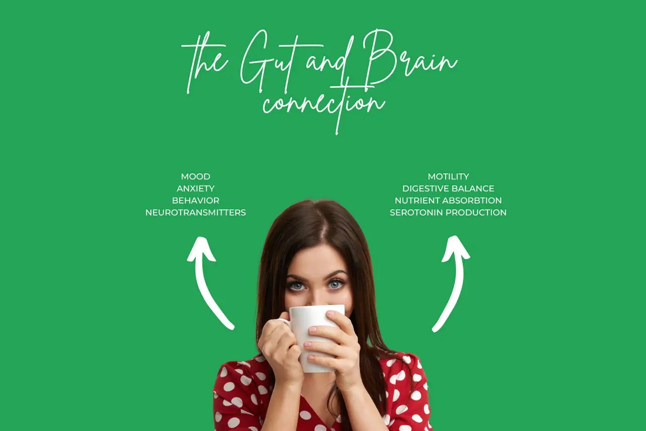 The Science of Functional Gut Health: How the Gut-Brain Connection Impacts Your Body and Mind