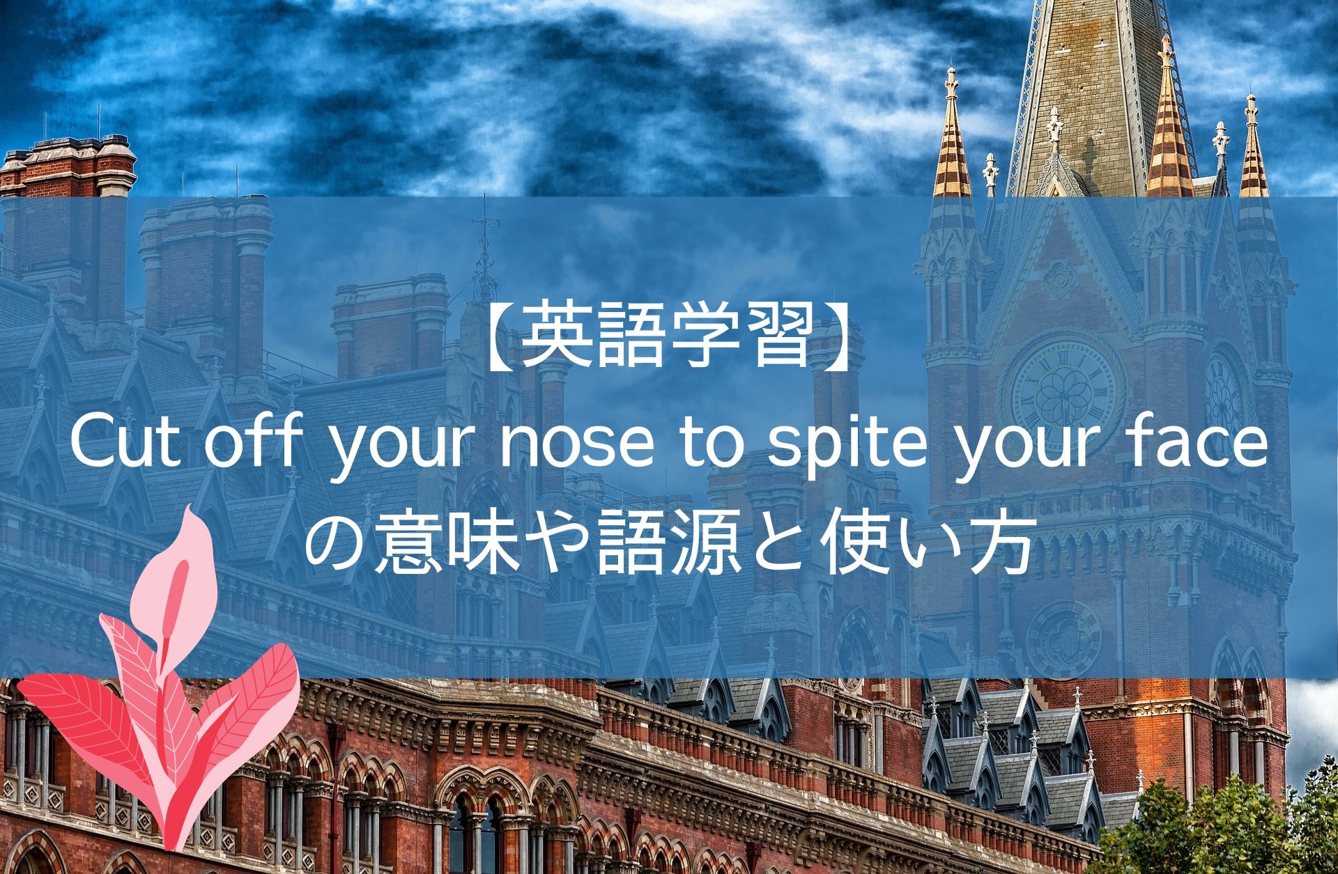 英語学習 Cut Off Your Nose To Spite Your Faceの意味や語源と使い方 Sprouts Diary In Nz