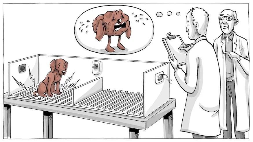 Learned Helplessness - Sprouts - Learning Videos - Social Sciences