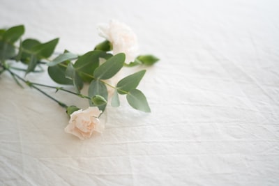 Sprwt Is Your Partner In Compassionate Catering Software
