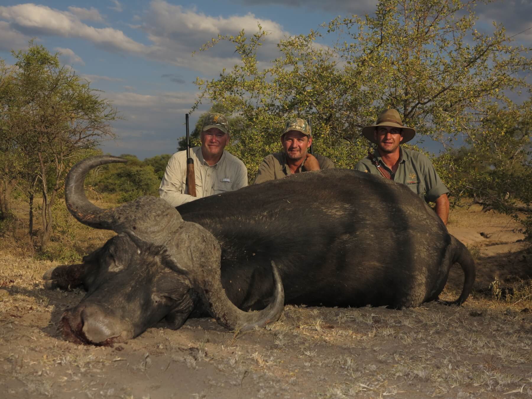 Cape Buffalo Hunting Schalk Pienaar Hunting Safaris In Namibia