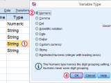 Spss How To Convert String Variables Into Numeric