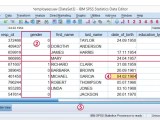 Spss Data Editor Window