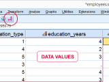 Spss Data Editor Window Basics Tips Tricks