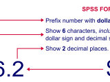 Spss Variable Types And Formats
