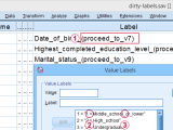 Spss Variable And Value Labels Editing Tool