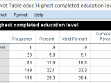 Spss Output Basics Tips Tricks