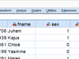 Spss Cloning Variables With Python