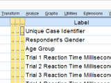 Set Spss Variable Names As Labels With Python